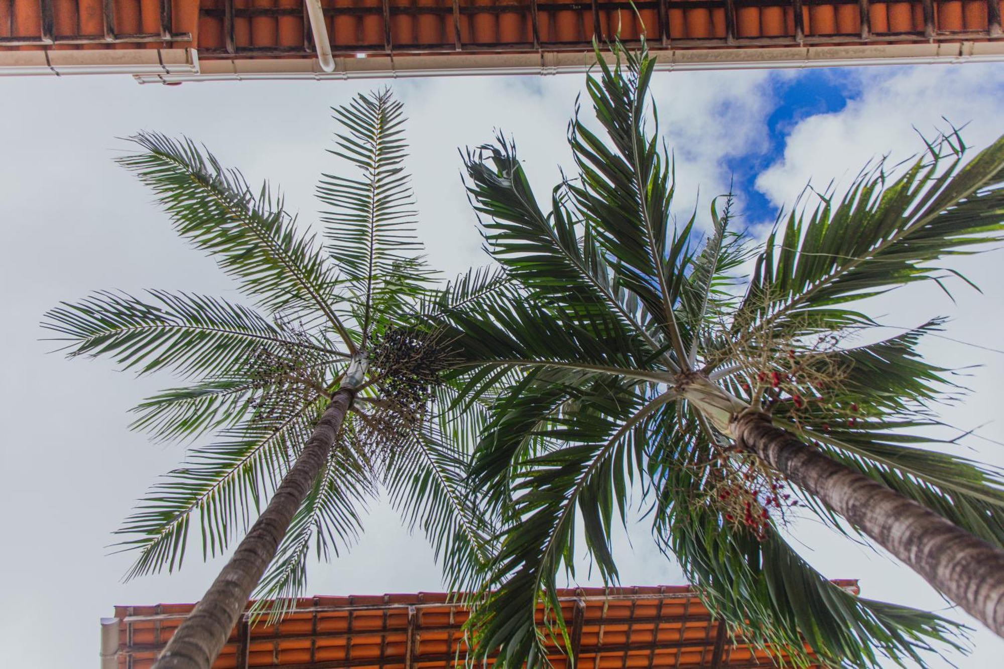 Pousada D' Areia Barreirinhas Exterior foto